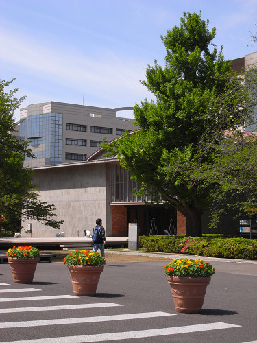 c37f7c98.jpg