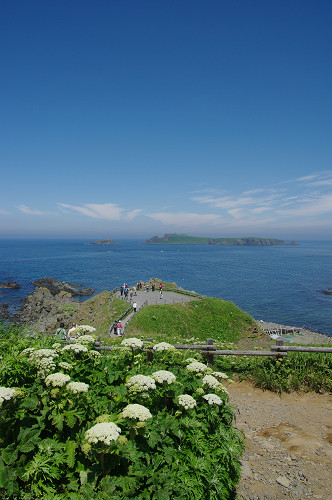 c6b9328d.jpg