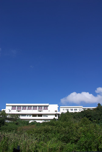 e0f41c85.jpg