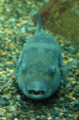 ed233c9b.jpg