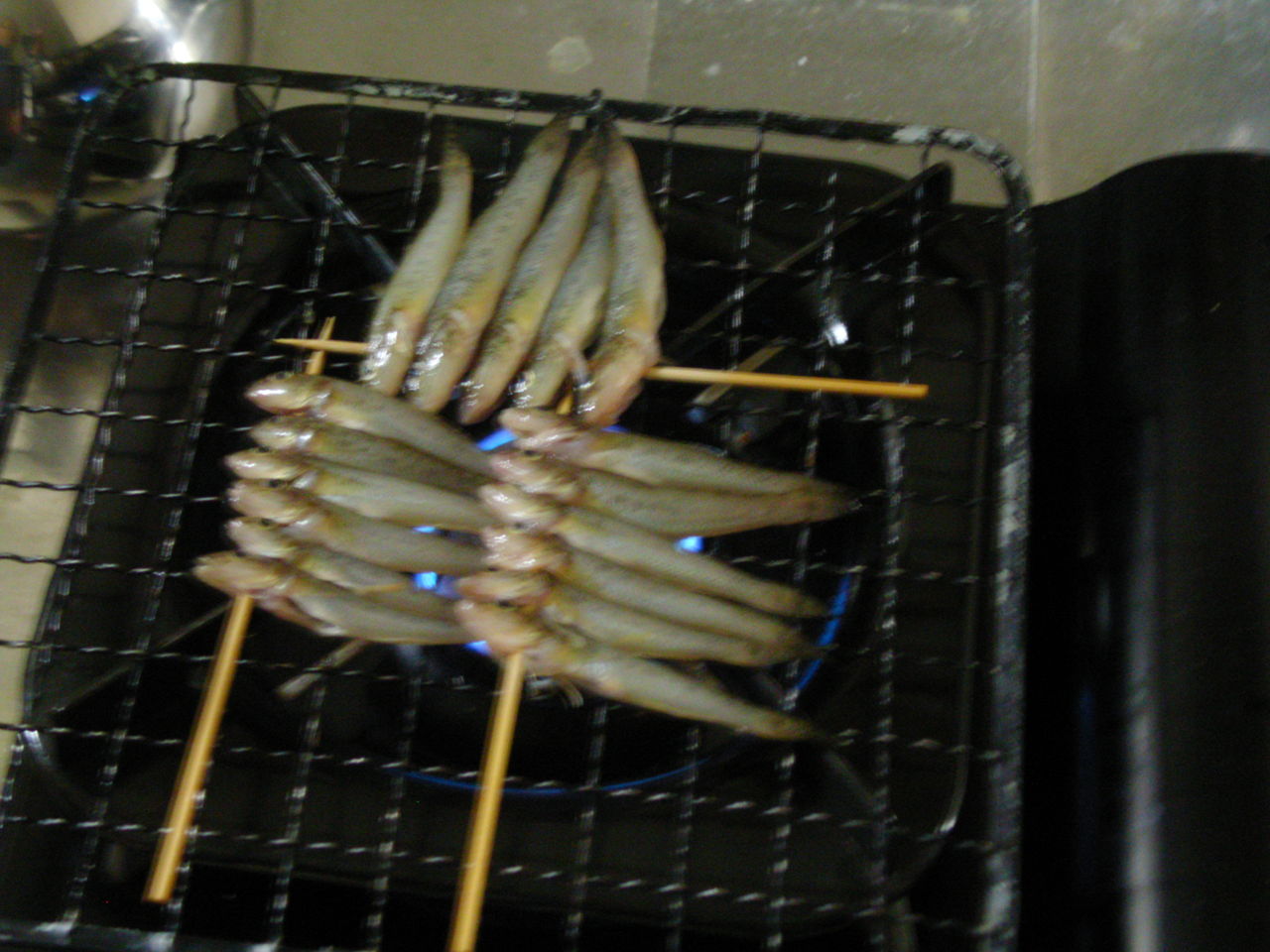 新たな釣り場でハゼ釣り T C I H