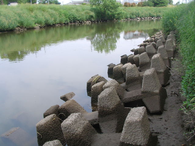 元荒川でテナガエビ T C I H 元荒川でテナガエビ T C I H