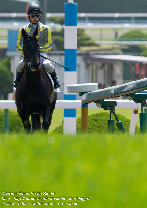 春競馬、開幕