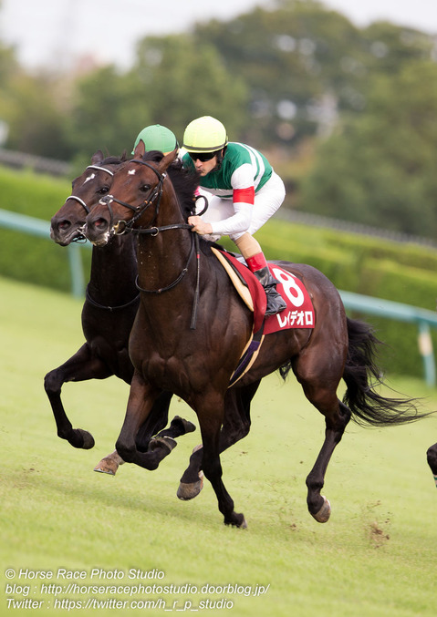 現役最強への挑戦　～第６５回　神戸新聞杯～