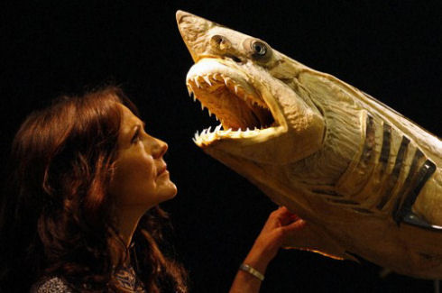 Exhibition-of-interesting-animals-in-Cologne-013