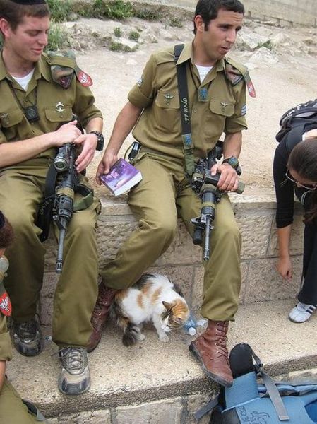 the_pets_of_soldiers_640_10