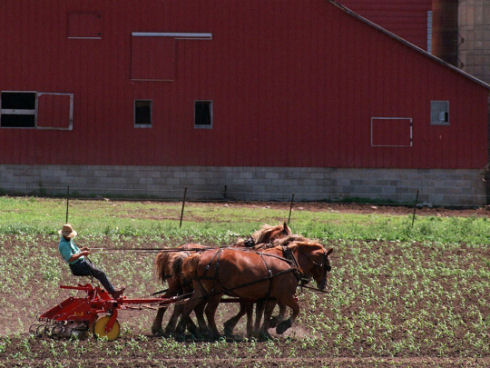 Inside Amish life20
