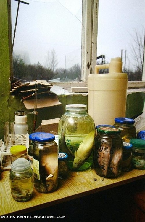 chernobol36gs38