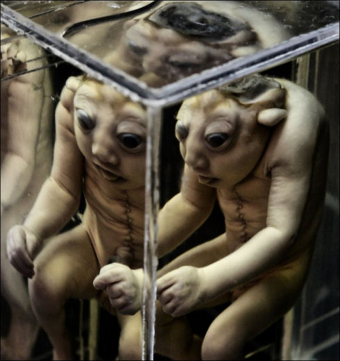museum-of-medicine02