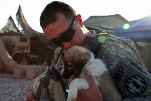 the_pets_of_soldiers_640_26