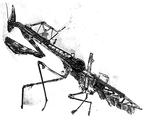 Nicolas Lampert 12