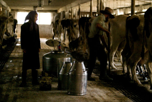 Inside Amish life24