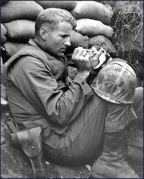 the_pets_of_soldiers_640_06