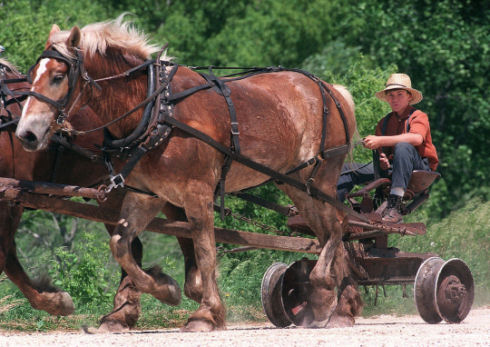 Inside Amish life13