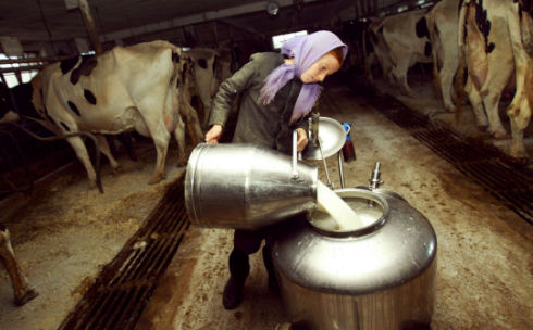 Inside Amish life01