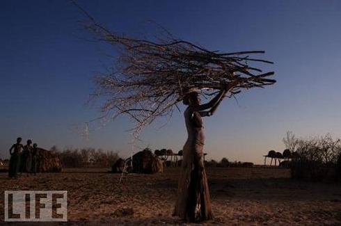 Dassanech Woman With Branches