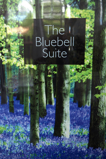 bluebell001