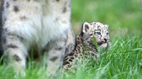 zoobasel03