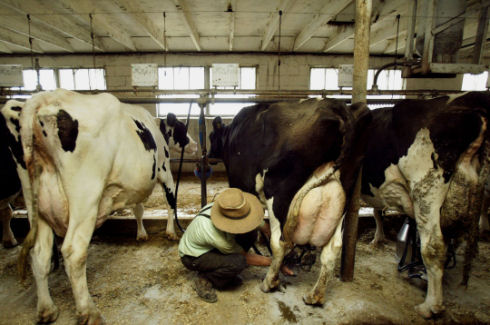 Inside Amish life03