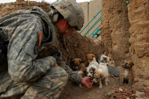 the_pets_of_soldiers_640_21