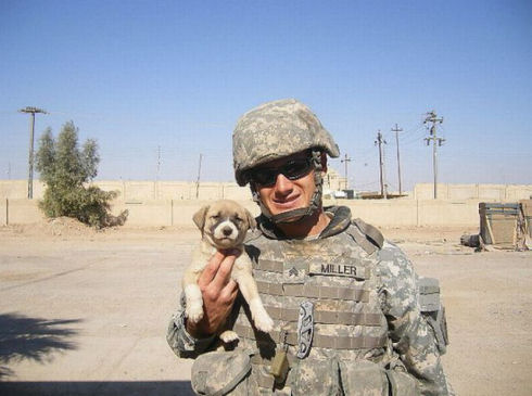 the_pets_of_soldiers_640_27