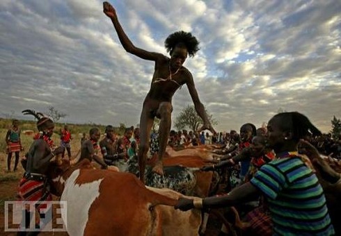 Bull Jumping, Omo River Valley