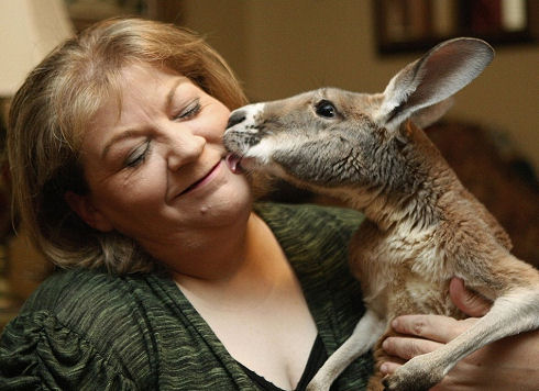 Best Animal Photos 32