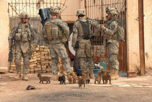 the_pets_of_soldiers_640_22