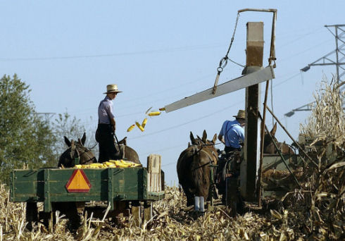 Inside Amish life05