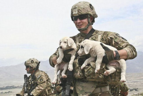 the_pets_of_soldiers_640_19