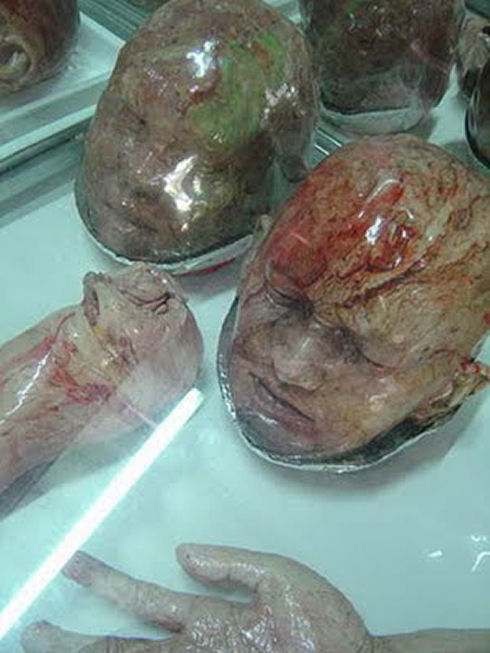 Most_Bizzare_Bakery_In_Thailand_13jpg