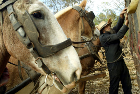 Inside Amish life22