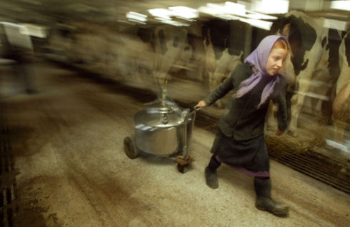 Inside Amish life23