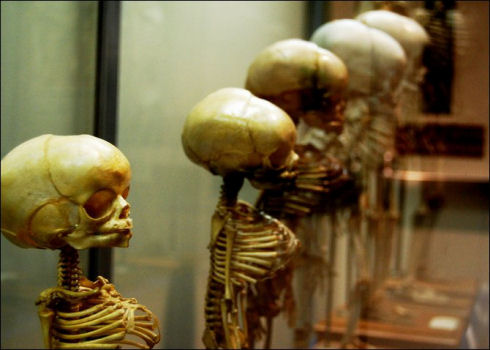 museum-of-medicine05