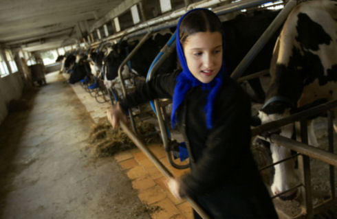 Inside Amish life25
