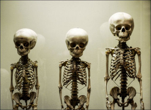 museum-of-medicine01
