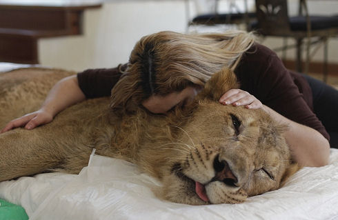 Best Animal Photos 47