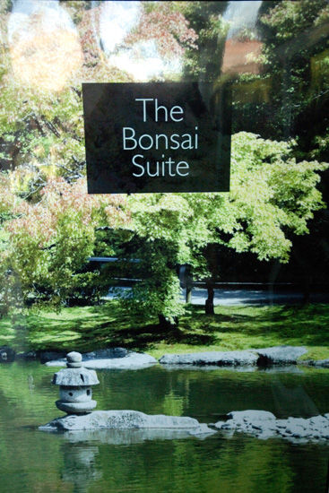 bonsai001