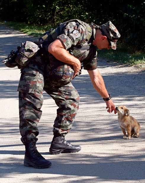 Best Animal Photos 44