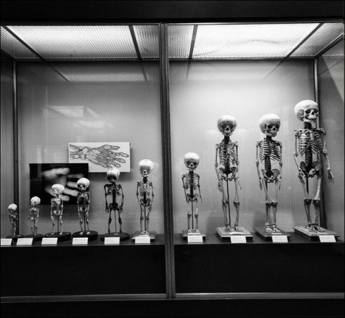 museum-of-medicine07