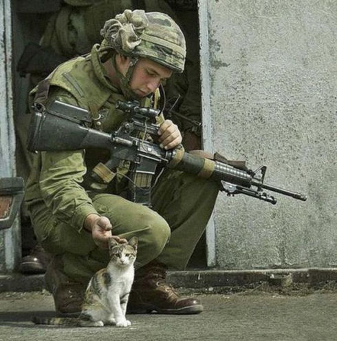 the_pets_of_soldiers_640_13