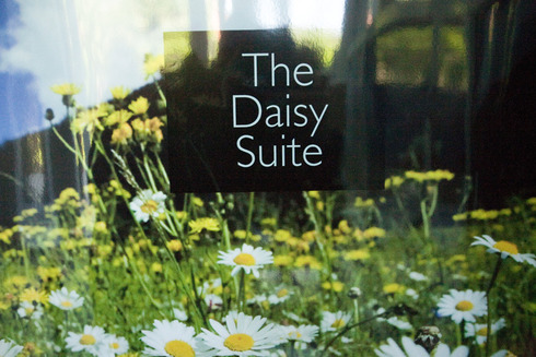 daisy001