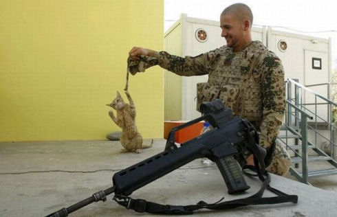 the_pets_of_soldiers_640_01