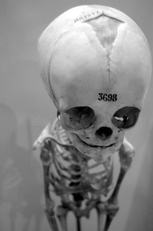 708239569_d7e1cb664e_o
