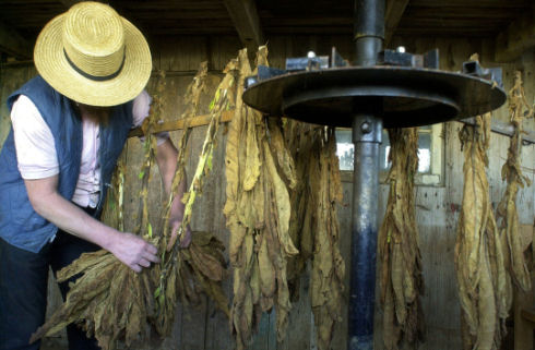 Inside Amish life14