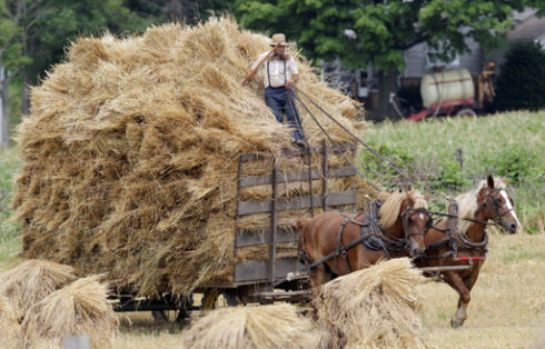 Inside Amish life17