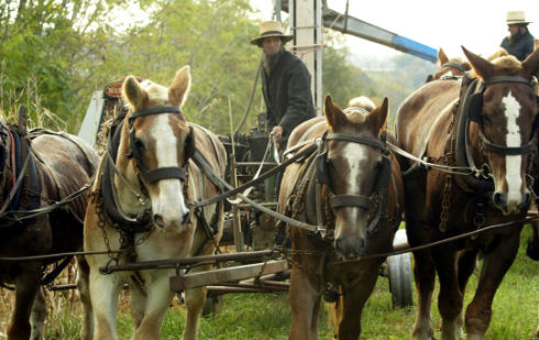 Inside Amish life21