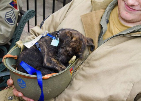 the_pets_of_soldiers_640_20