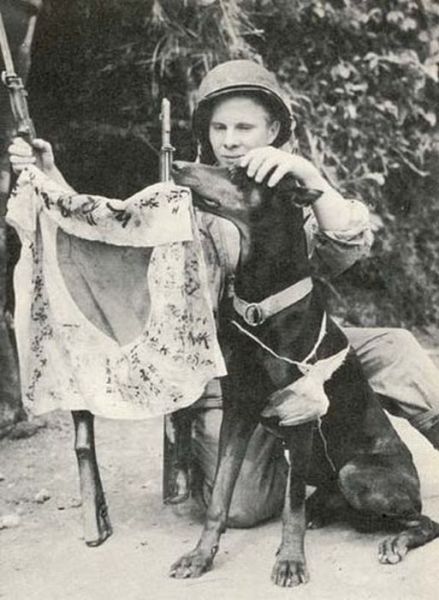 the_pets_of_soldiers_640_35