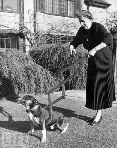 Dog Restrainer, 1940